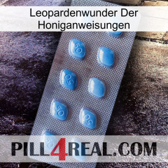 Leopard Miracle Of Honey Instructions viagra3